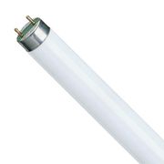 Triphosphor T8 Fluorescent Tube